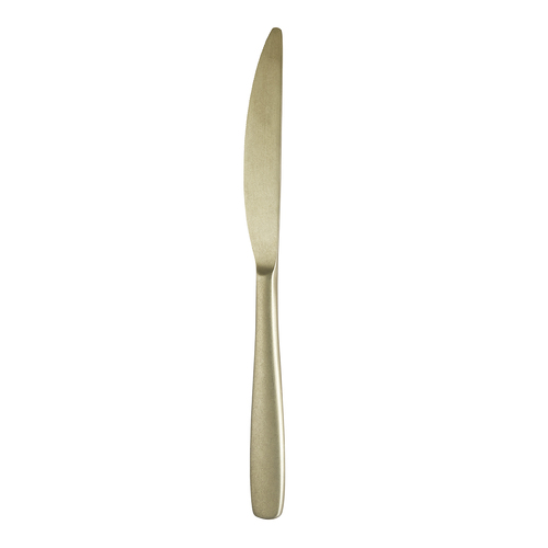 Trenton Stockholm Champagne Table Knife
 240mm (Box of 12) - 158072