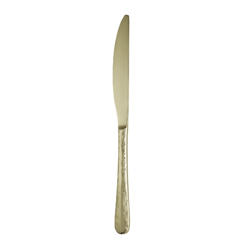 Trenton Amsterdam Champagne Table Knife
 240mm (Box of 12) - 158172