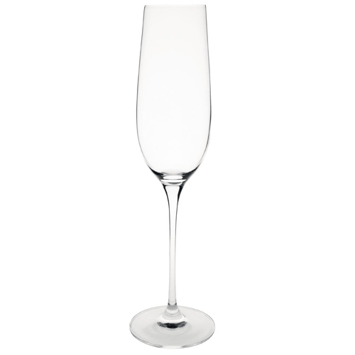 Olympia Crystal Campana Champagne Flute 260ml (Box of 6) - CS496