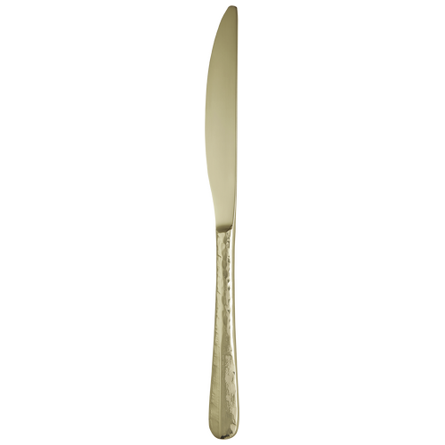 Trenton Amsterdam Champagne Table Knife
 240mm (Box of 12)